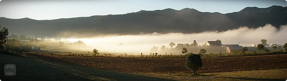 Farm_fog_blanket_WMAS.jpg