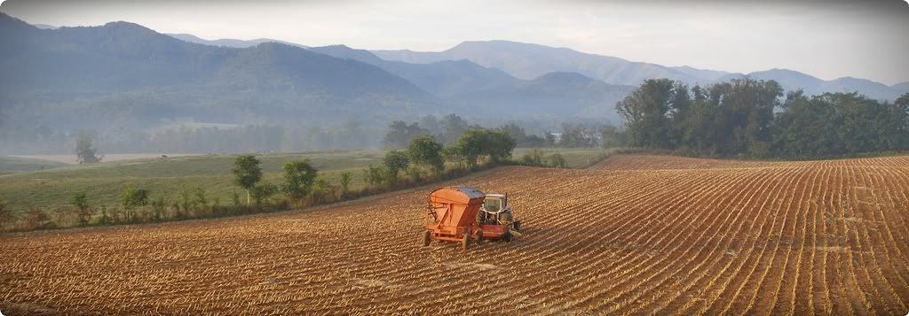 Field_corn_chopped.jpg