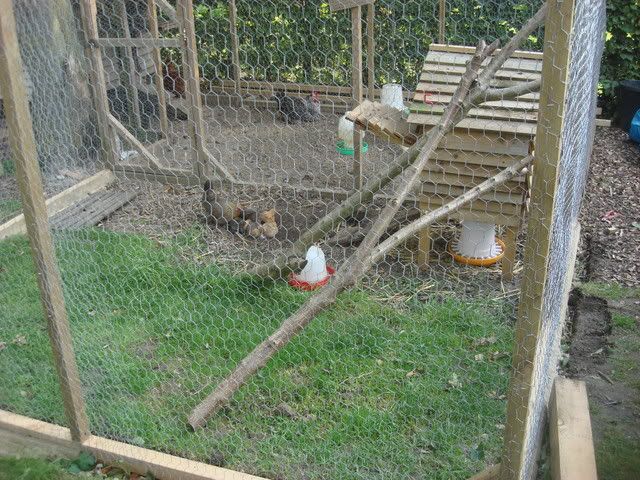 DSC00173.jpg