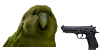 thebirddies_zps27a7ca53.png