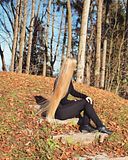 Bild