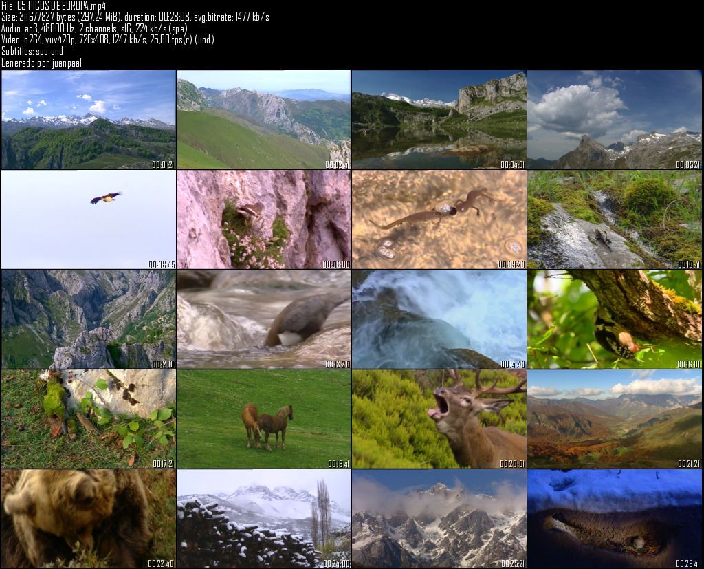05PICOSDEEUROPA zps5905d35e - Nuestros Parques Nacionales [tve] (2004) [DVDRip MP4 AC3 2.0 Cast.] [Sub.ES] [VH]