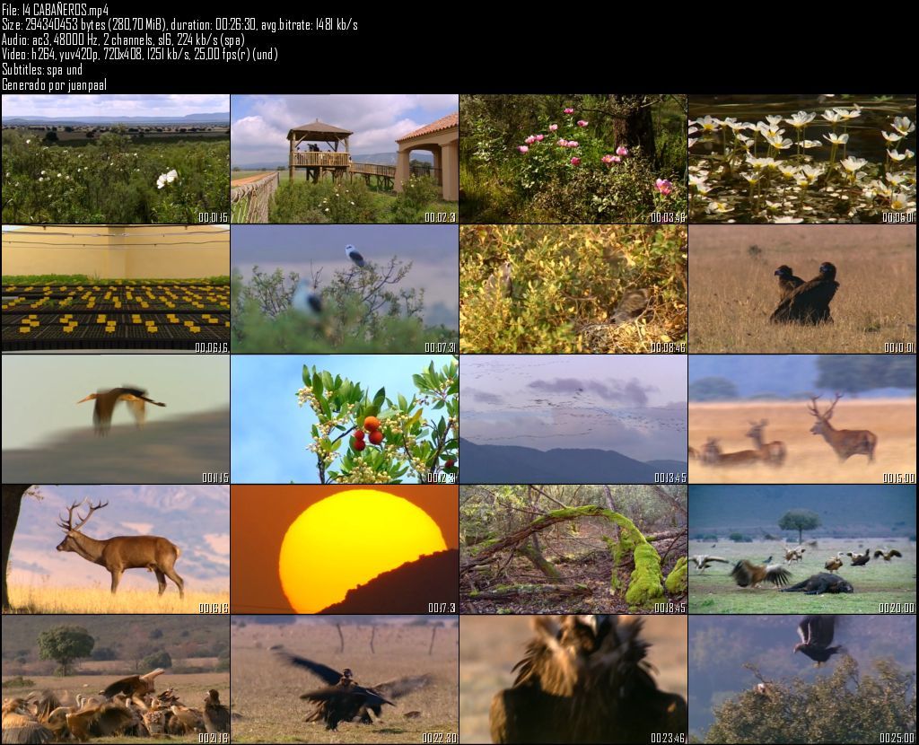 14CABANtildeEROS zps78904ec4 - Nuestros Parques Nacionales [tve] (2004) [DVDRip MP4 AC3 2.0 Cast.] [Sub.ES] [VH]
