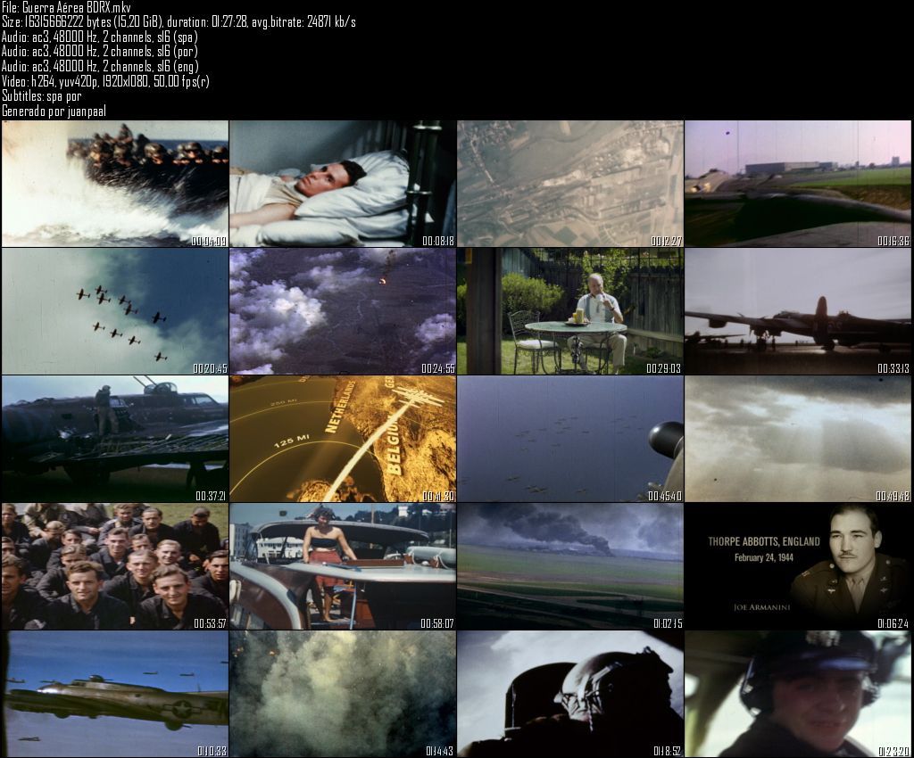 GuerraAeacutereaBDRX zpsda29b758 - IIGM Los Archivos Perdidos: La Guerra Aérea (C.H.) (2012) [BDRemux 1080i MKV] [AC3 2.0 ES/IN/PT] [H.264]