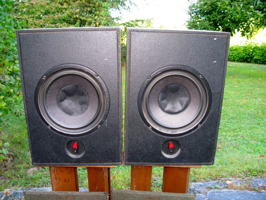 klipsch kg4 passive radiator