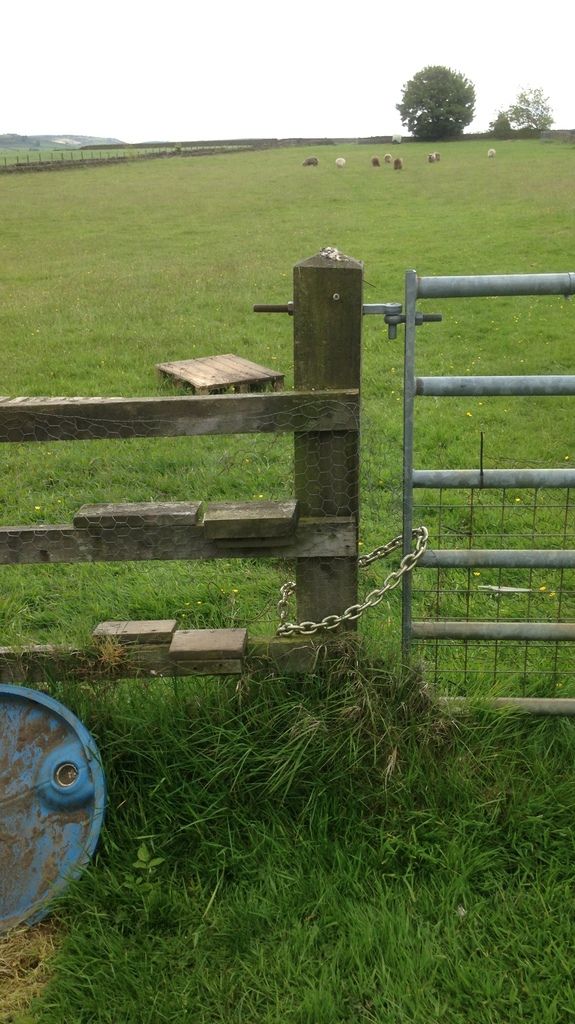 Stile%20and%20Gate_zpskr3efpty.jpg