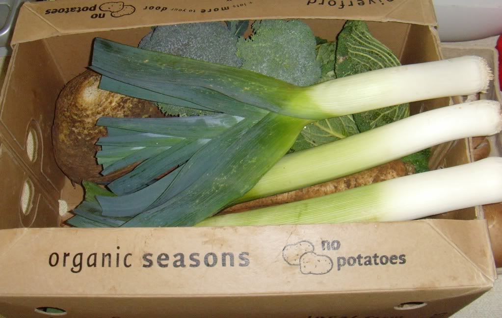 box1.jpg