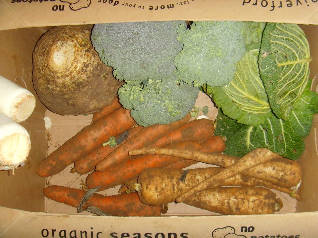 box3.jpg