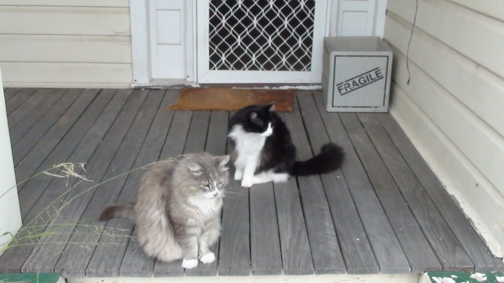 champagneweekend2002