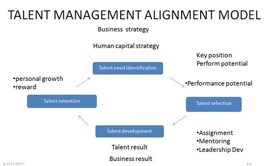 Talent Management Alignment Model