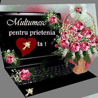 Multumesc Pentru Prietenia Ta By Inapop53 Photobucket