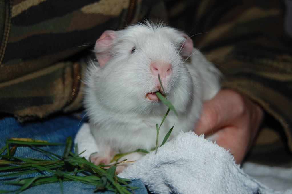 DSC_5125.jpg