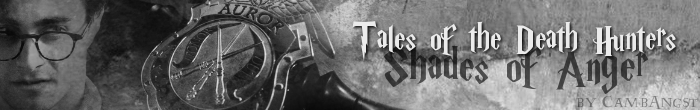 Story Banner